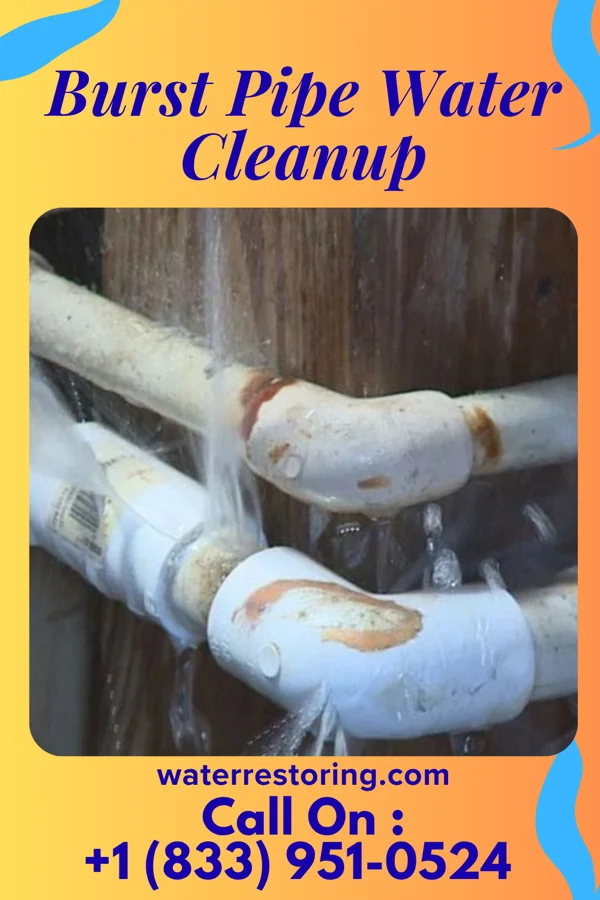 Burst Pipe Water Cleanup in Belleville, KS