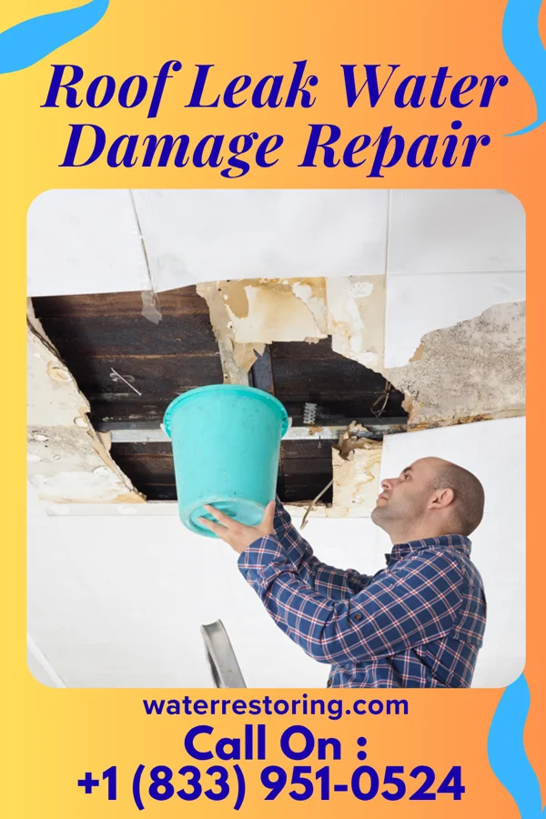 Roof Leak Water Damage Repair in Belleville, KS